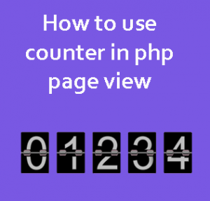 How to use counter in php page view